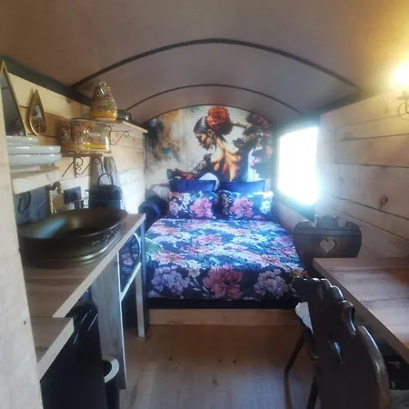Chalet Roulotte Cosy Avec Bain Nordique - Vosges