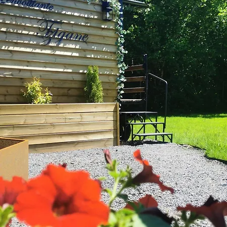 Chalet Roulotte Cosy Avec Bain Nordique - Vosges Saulcy-sur-Meurthe